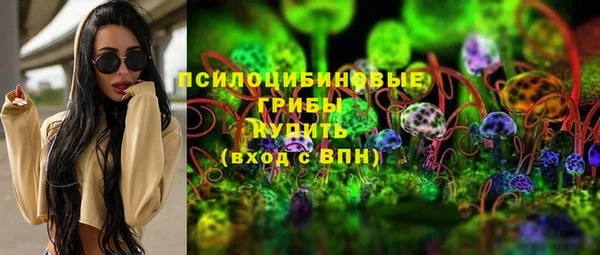 дмт Арсеньев