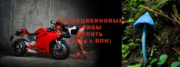 дмт Арсеньев