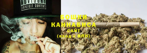 дмт Арсеньев
