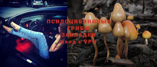 дмт Арсеньев