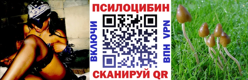 где продают   Боровичи  Галлюциногенные грибы Magic Shrooms 