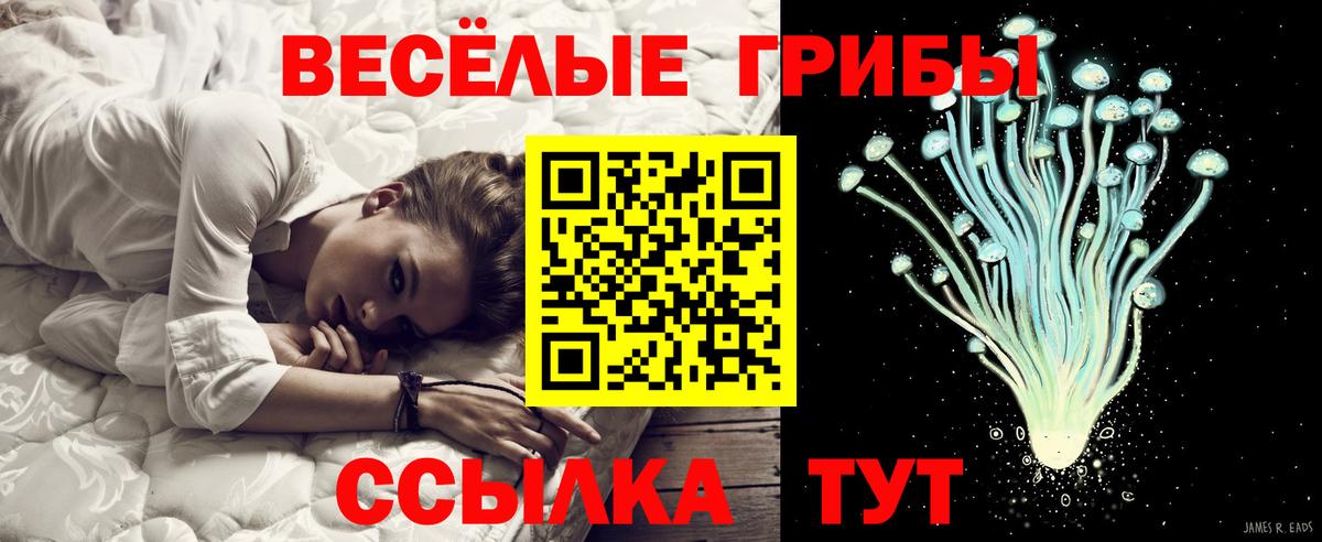 Боровичи  купить   Вход с VPN  Галлюциногенные грибы Cubensis 